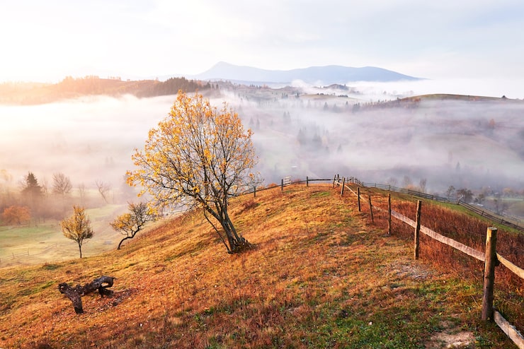 Friedliche Naturlandschaft